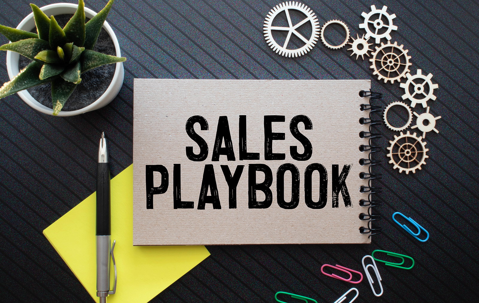 Sellers Play Book Calgary